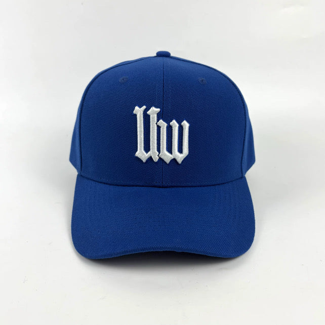 Book I Snapback - Jordan Blue