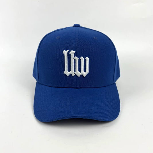 Book I Snapback - Jordan Blue